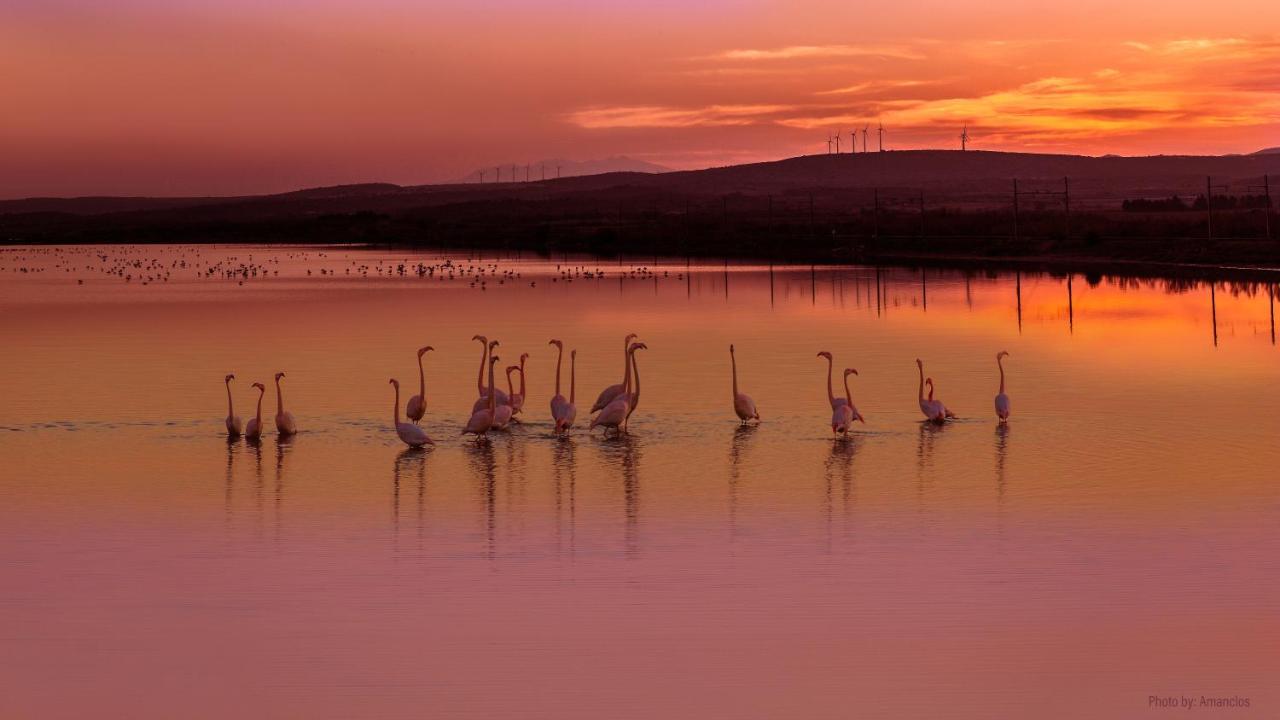 Viglamo Domaine Presqu'Ile De La Franqui Otel Leucate Dış mekan fotoğraf