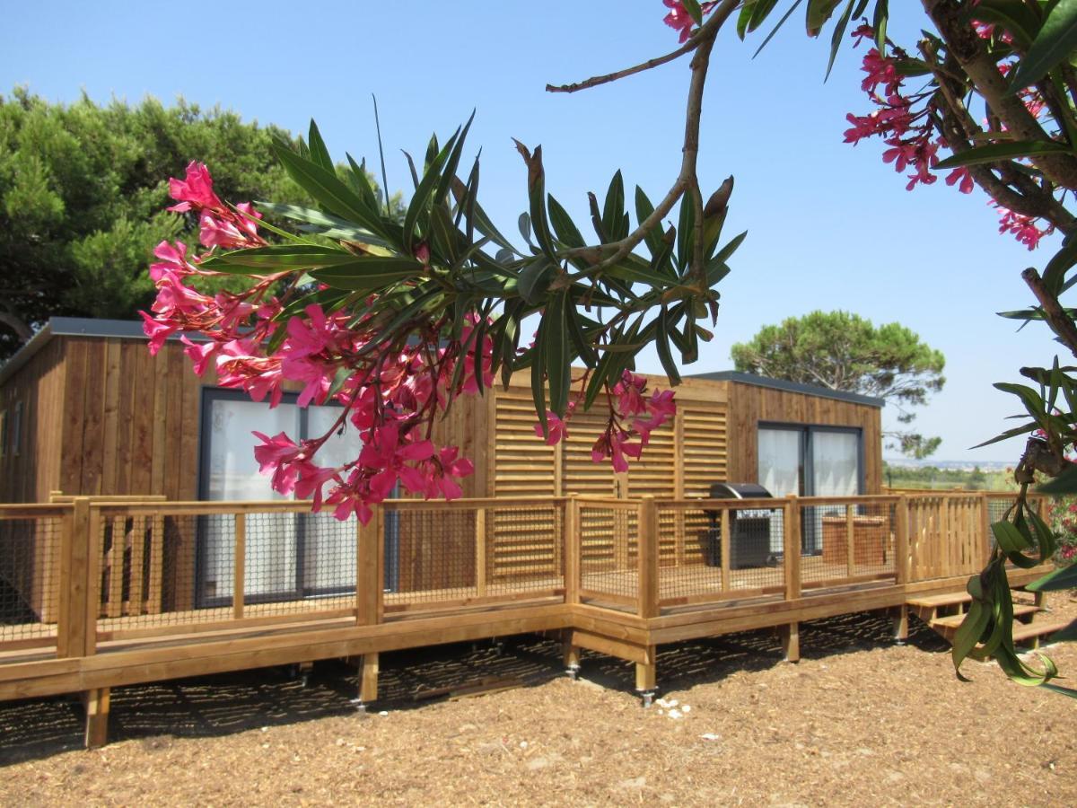 Viglamo Domaine Presqu'Ile De La Franqui Otel Leucate Dış mekan fotoğraf